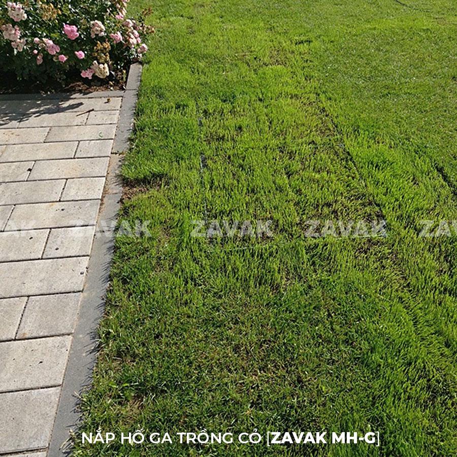 Nắp hố ga trồng cỏ Mh-G60 11 Nắp hố ga trồng cỏ inox ZAVAK MH-G Làm nắp đậy các loại hố kỹ thuật, hố ga ngoài vườn…tại các công trình cao cấp đòi hỏi tính thẩm mỹ và tiện dụng cao như biệt thự, các resort, khách sạn, công viên…